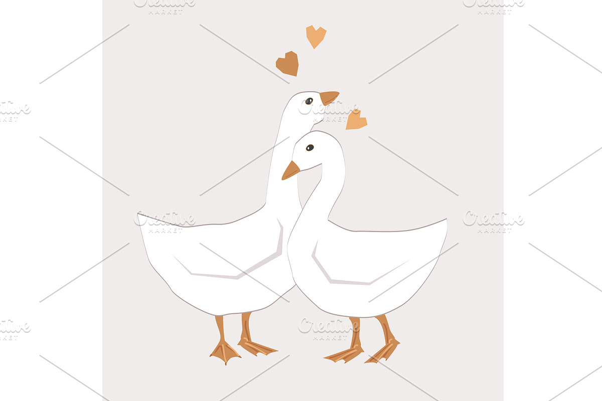 Goose Hugs couple. Cute Hugging, an Animal Illustration by Toltemara