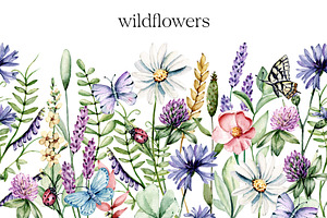 SALE! Watercolor set wild flowers.