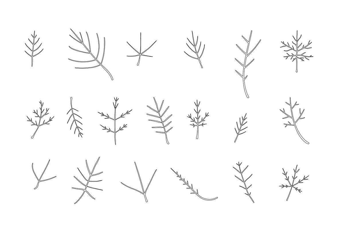 venation veins outline collection, an Outline Icon by nicollr's store (Photo 2 of 3)