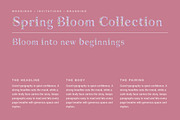 Feminine Spring Floral Display, a Sans Serif Font by Gookkis Studio (Thumbnail 6 of 13)
