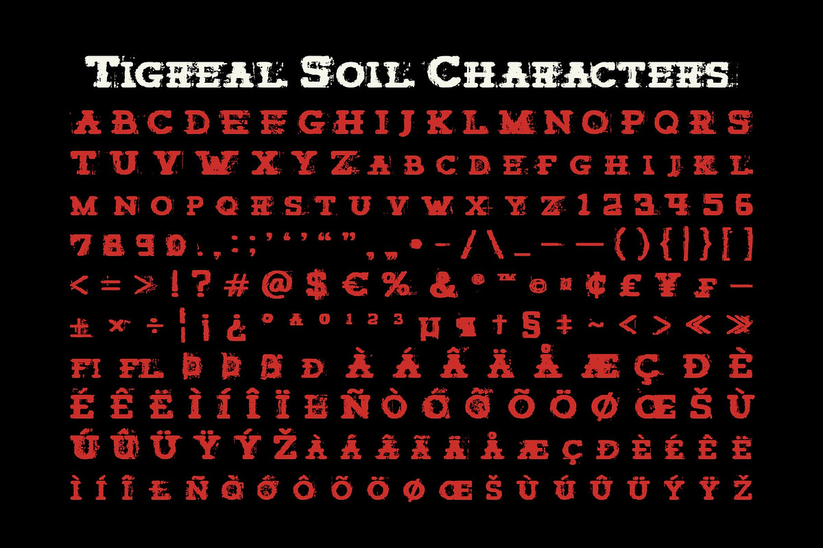 Tigreal Soil, a Slab Serif Font by Craft Supply Co. (Photo 8 of 8)