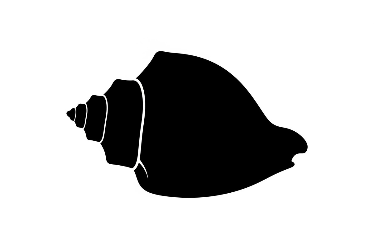 Shell Silhouette Vector Bundle, an Illustration by hafijul (Photo 36 of 48)