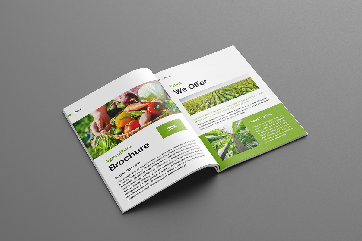Agriculture Brochure Layout, a Brochure Template by Seeing-art (Photo 7 of 11)