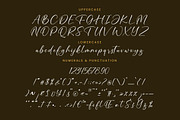 Bounty Amethysa Beautiful Script, a Script Font by Letterena Studios Script (Thumbnail 13 of 15)