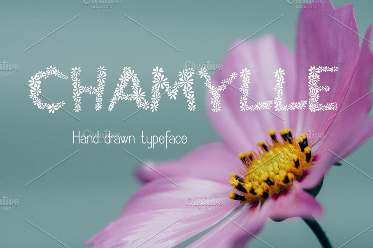 Chamylle Decorative Font preview 3
