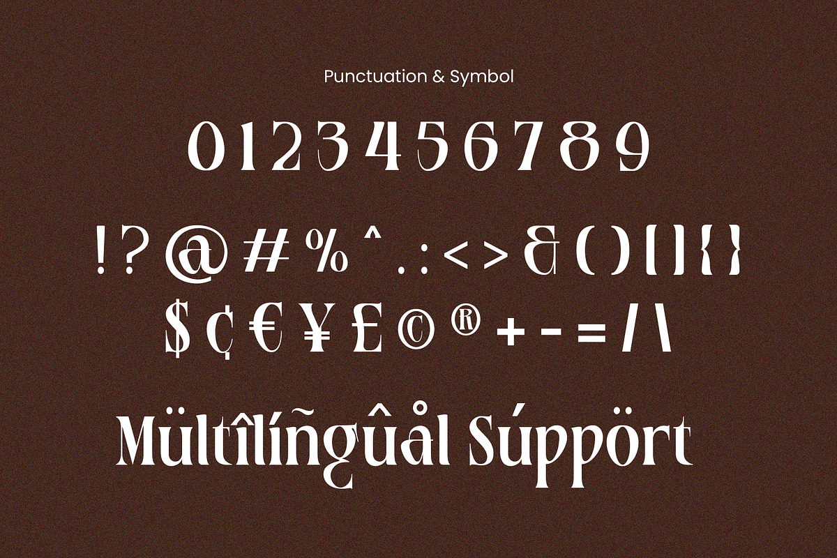 Basurist - Unique Modern Serif Bold, a Serif Font by Nokturnal13 (Photo 5 of 14)