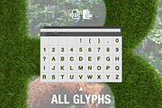 Ms Grass Bitmap Font & PNGs, a Script Font by Creative Graphics (Thumbnail 3 of 4)