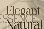 Vianeka -  Modern Luxury Serif Font, a Serif Font by Flawless And Co (Thumbnail 7 of 10)