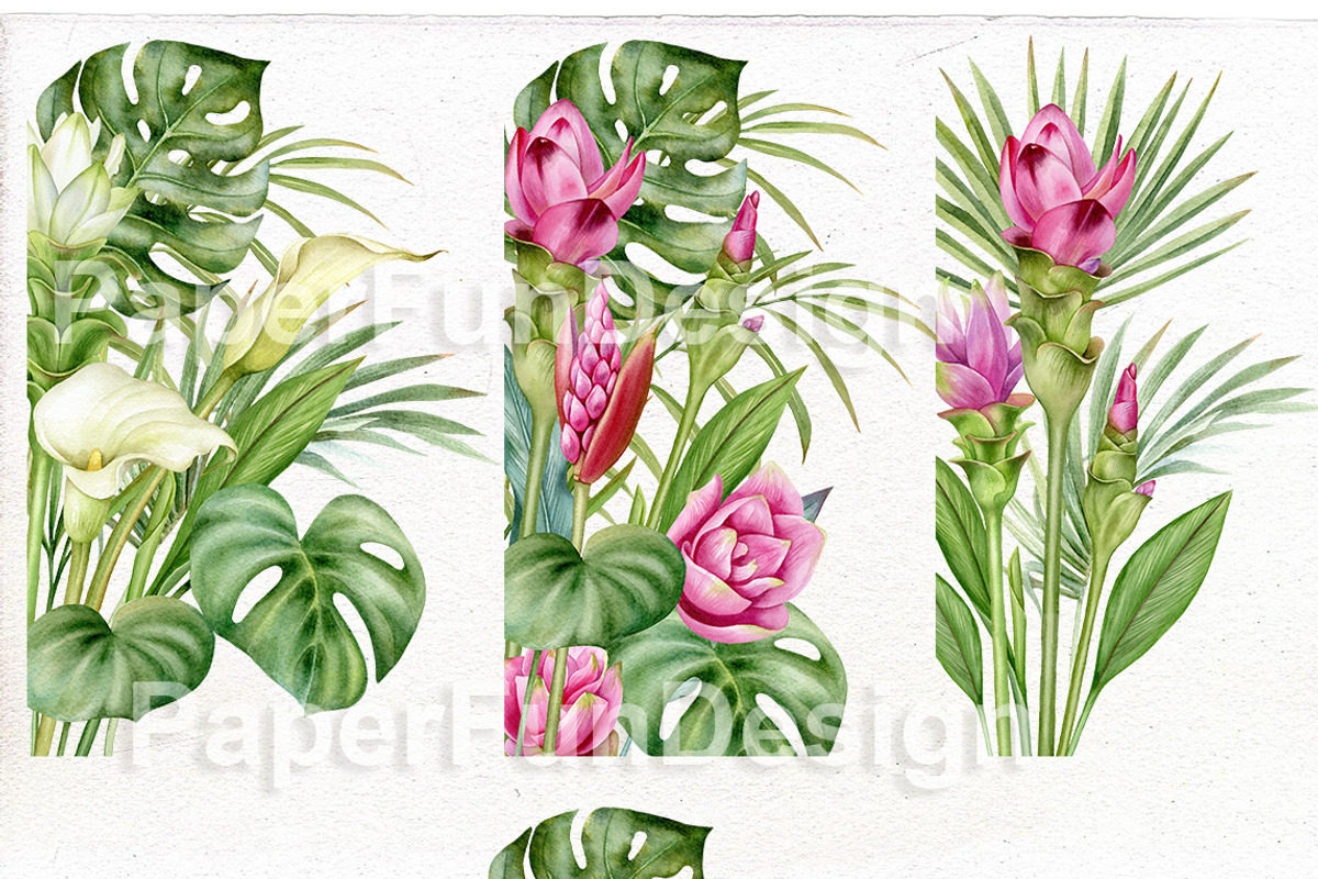 Watercolor tropical arrangements., an Illustration by Mary (Photo 2 of 4)