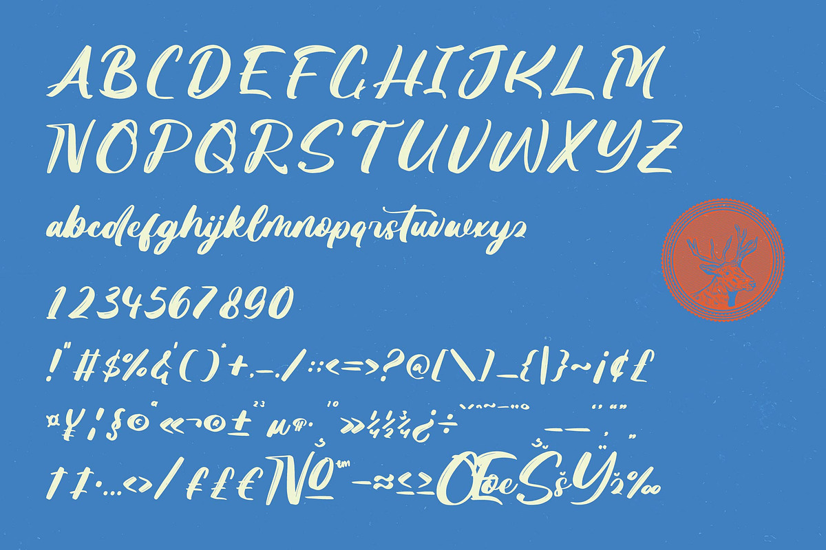 Skanika Bold Handwritten Font, a Script Font by Letterena Studios Script (Photo 19 of 20)