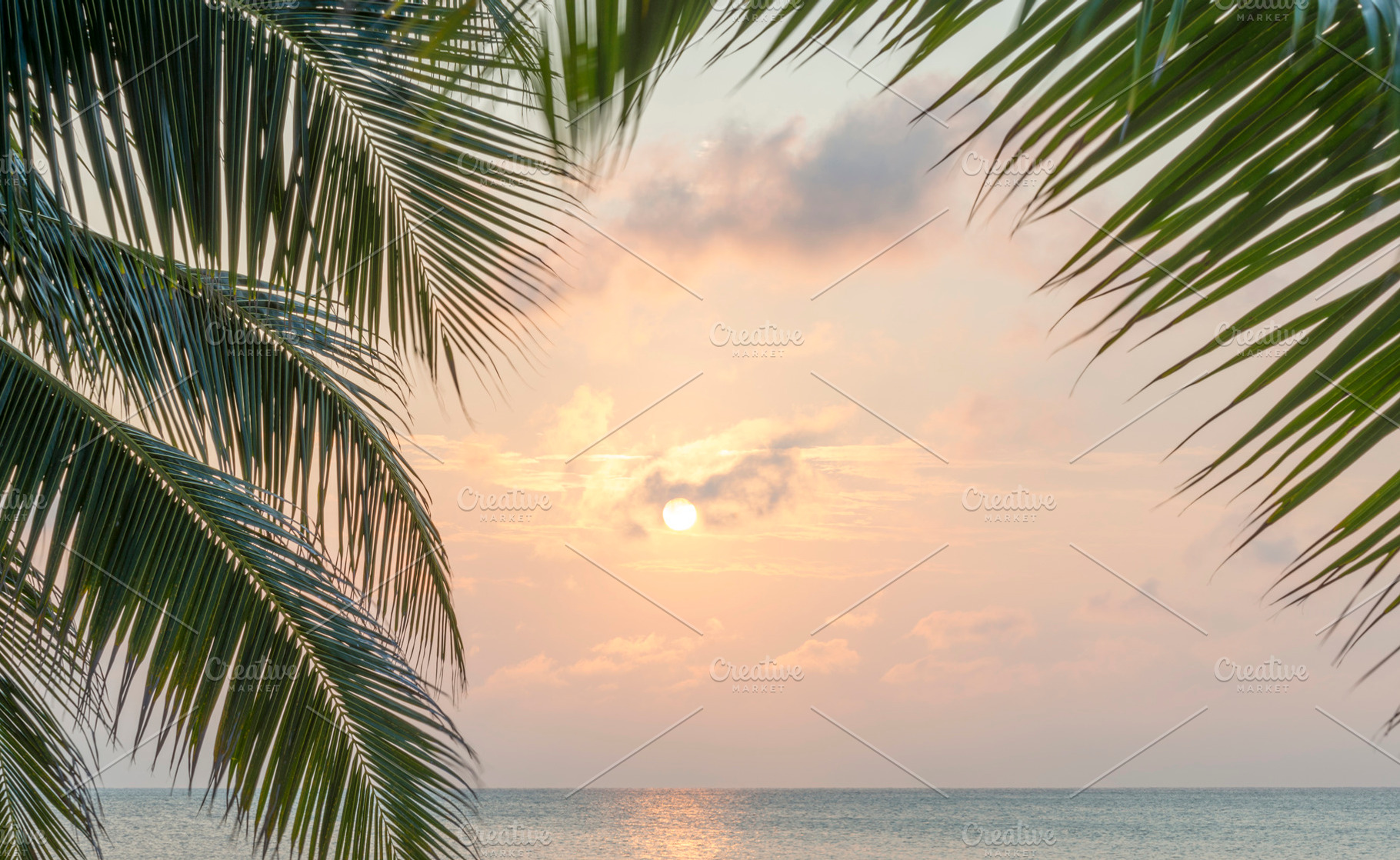 Caribbean Sunrise Palms Background, a Nature Photo by THP Creative