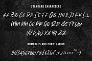 Brush Font Bundle, a Script Font by Flat Icons (Thumbnail 10 of 16)