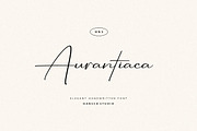 Aurantiaca Signature Font, a Handwritten Font by Burhan Afif (Thumbnail 1 of 10)