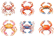 Watercolor Crab Clipart, an Illustration by Designking (Thumbnail 2 of 5)