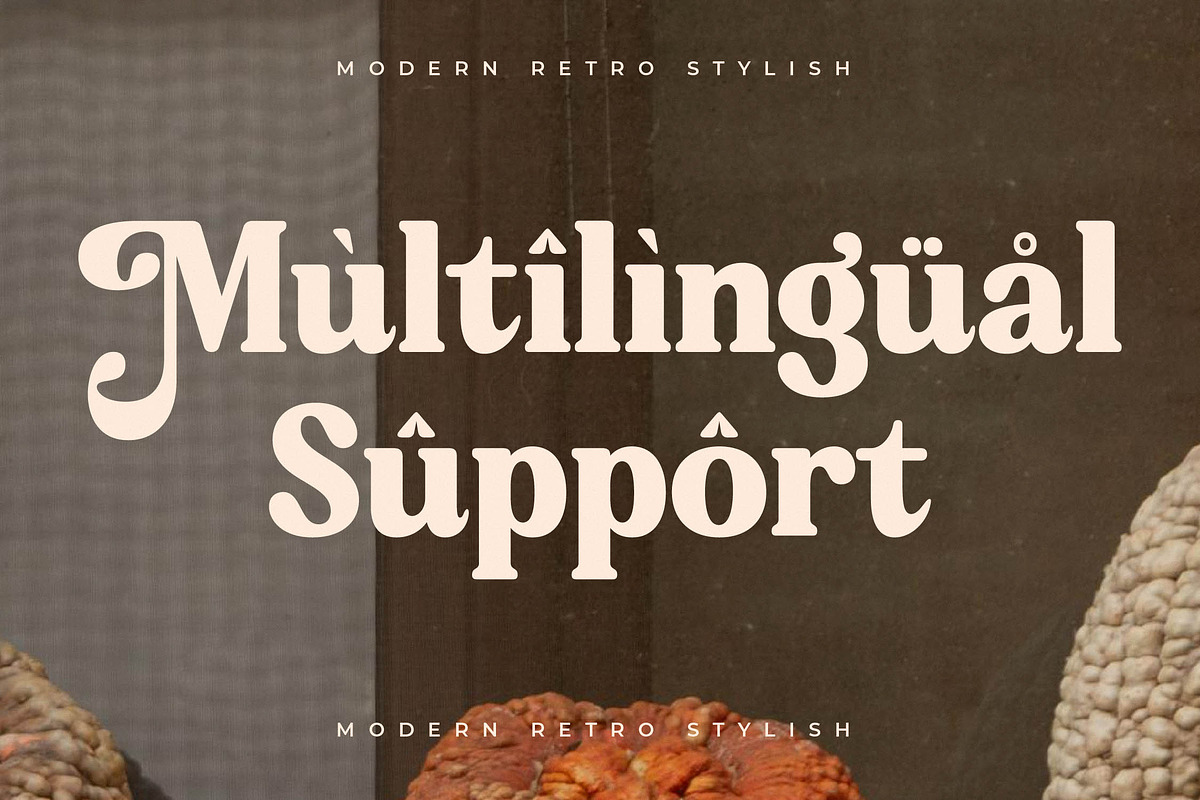 Bristle Radiant Modern Retro Stylish, a Serif Font by Letterena Studios (Photo 12 of 15)