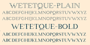 Wetetque, a Serif Font by Ingrimayne Type (Thumbnail 4 of 5)