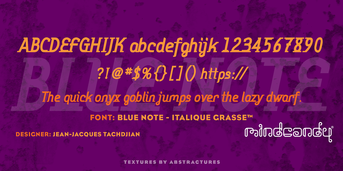 Blue Note™, a Serif Font by MINDCANDY (Photo 4 of 8)