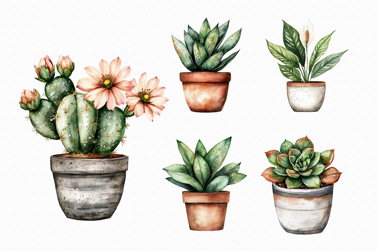 Watercolor Home Plants Clipart, an Illustration by Libby Wishes (Photo 3 of 4)