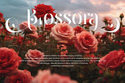 Raintop – Elegant & Stylish Serif, a Serif Font by BrandSemut (Thumbnail 3 of 10)