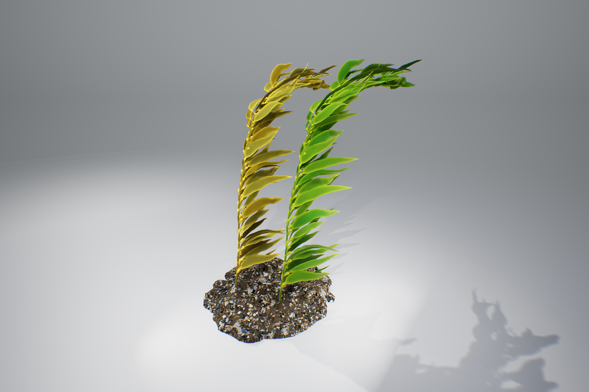 Kelp V2, an Environmental 3D Model by AndrewWhite (Photo 10 of 12)