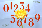 Pulseras- Romantic Display Font, a Sans Serif Font by Lurinzu Studios (Thumbnail 7 of 13)