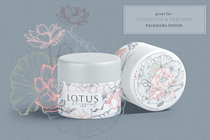 Lotus Blossom Vector Collection