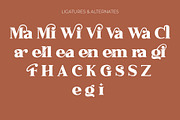 Marionte - Ligature Serif Font, a Serif Font by syabab studio (Thumbnail 8 of 10)