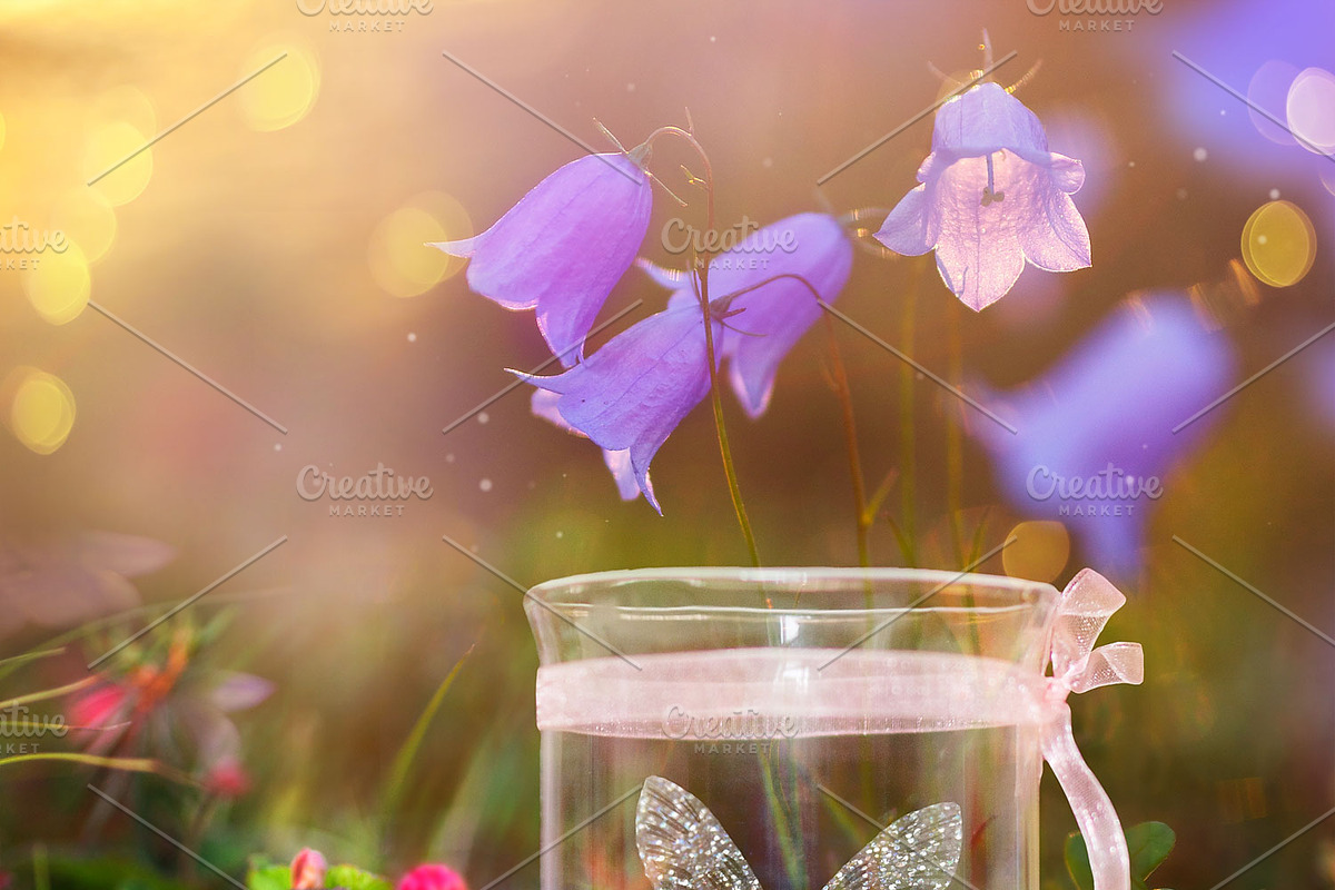 Campanula Digital backdrop preview 4