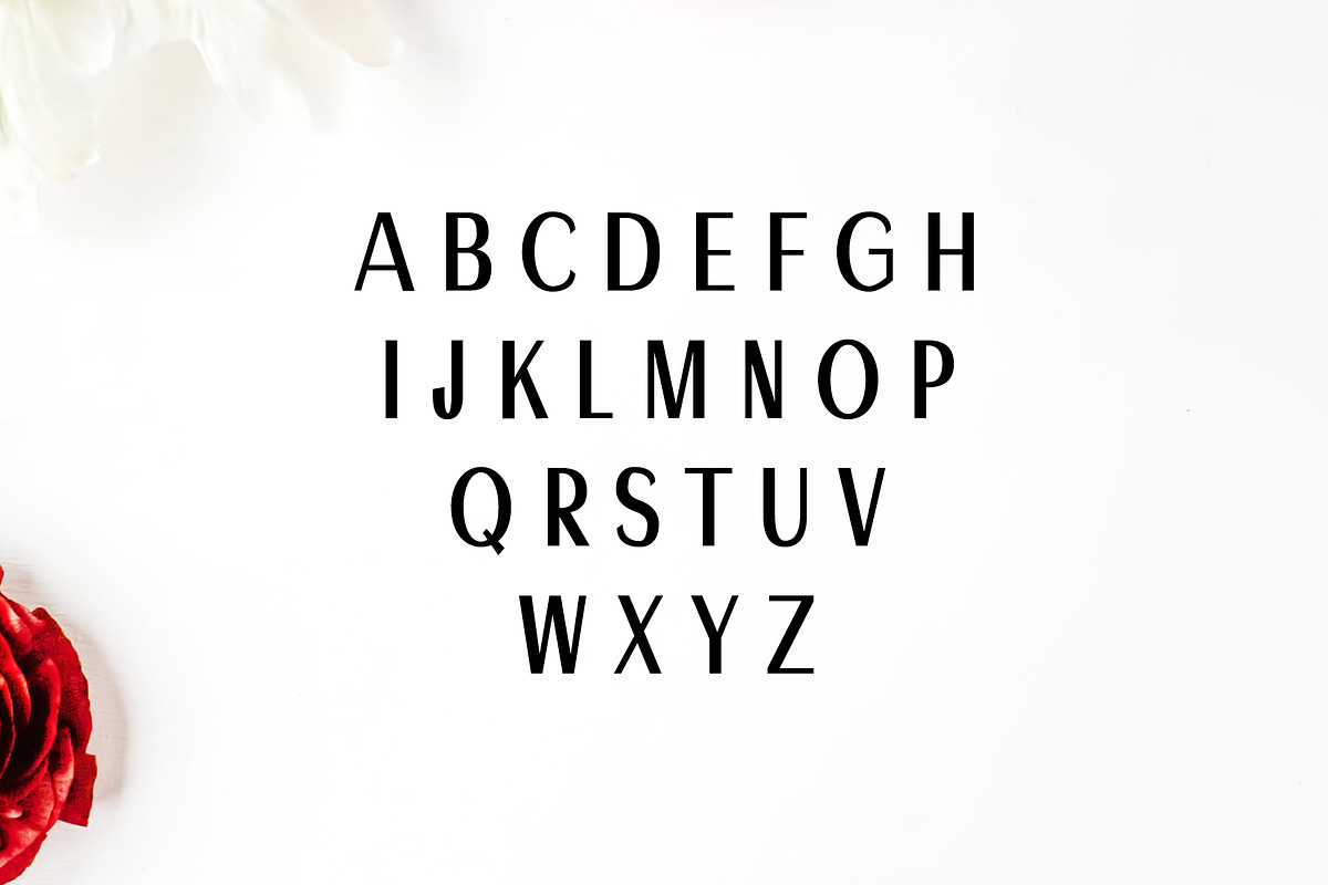 Ackley Sans Serif Font Family preview 2
