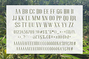 FLOREN TYPEFACE, a Serif Font by alit design (Thumbnail 3 of 5)