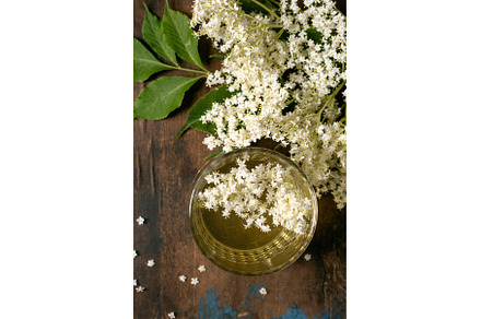 Elderflower Tea with Fresh White
