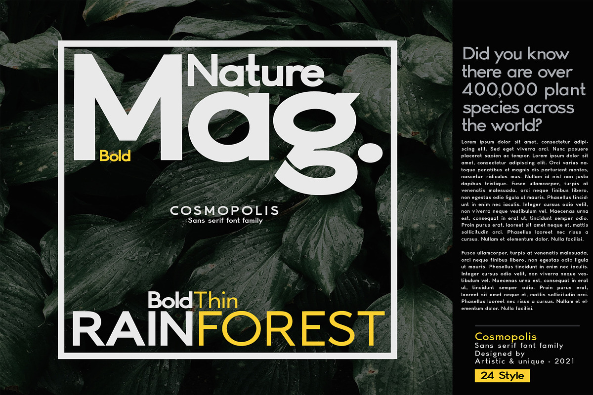 Cosmopolis - Sans serif font family, a Sans Serif Font by Artistic & Unique (Photo 12 of 15)