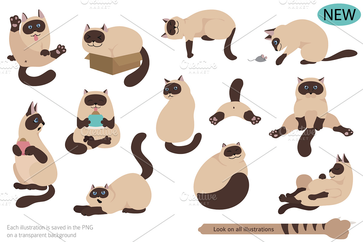 Cartoon cats clipart set, an Animal Illustration by pet design shop (Photo 4 of 12)