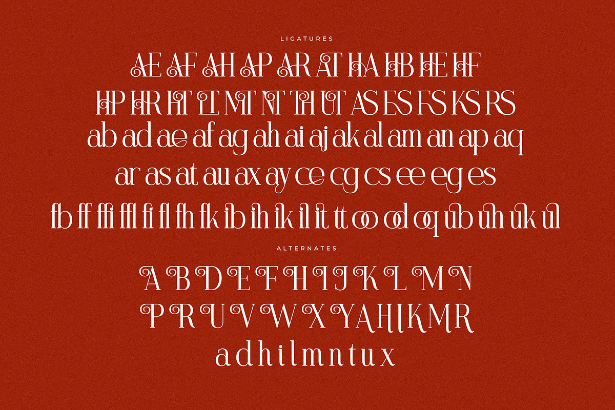 Modasite Modern Serif Font, a Serif Font by Letterena Studios (Photo 13 of 14)