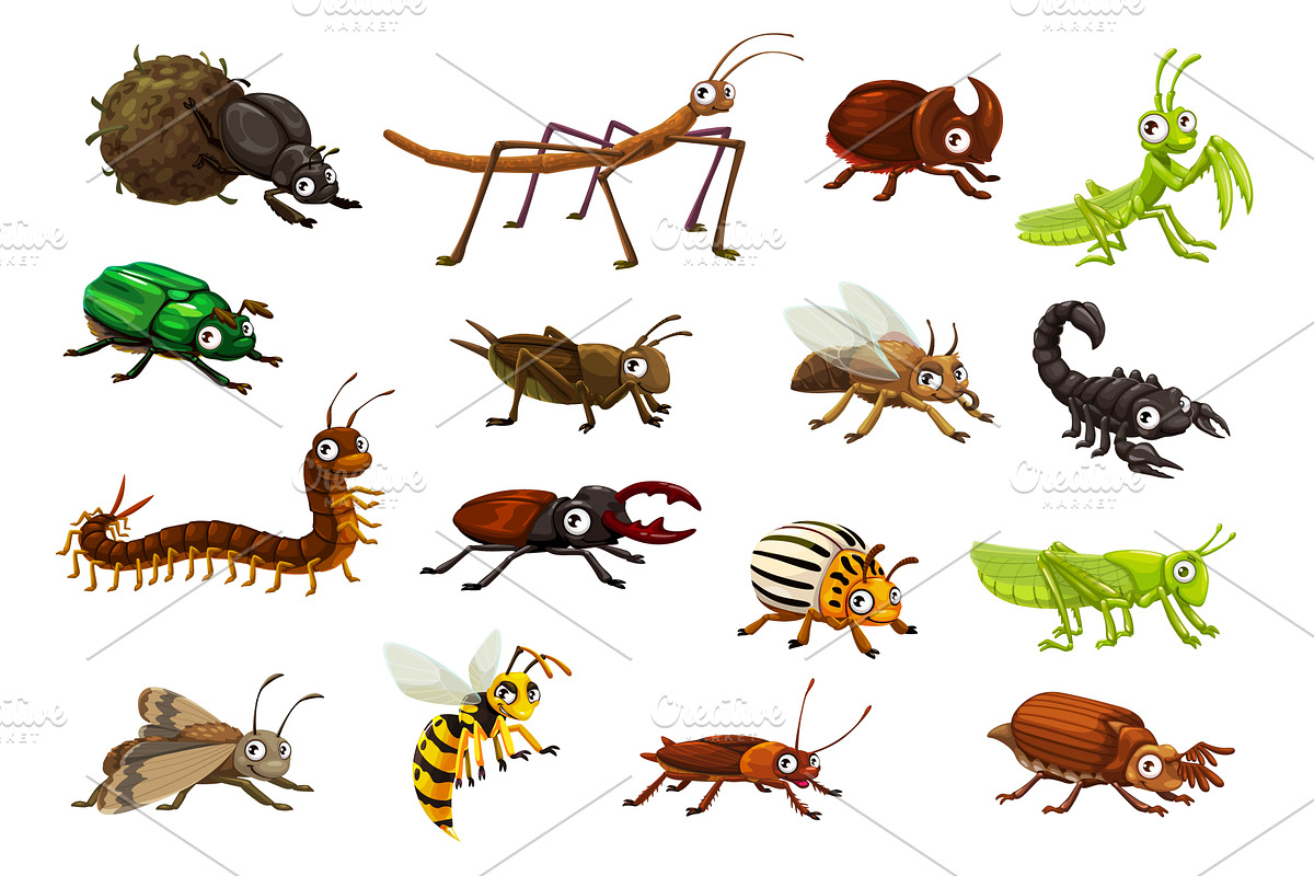 Cartoon googly insect bugs, an Animal Illustration by Vector Tradition