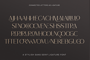 Northern Worssley - Ligature Sans, a Sans Serif Font by Typetemp Studio (Thumbnail 15 of 17)