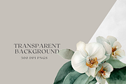 White Orchid Watercolor Clipart, a Decorative Illustration by ThaismotaCreativeCo (Thumbnail 12 of 12)