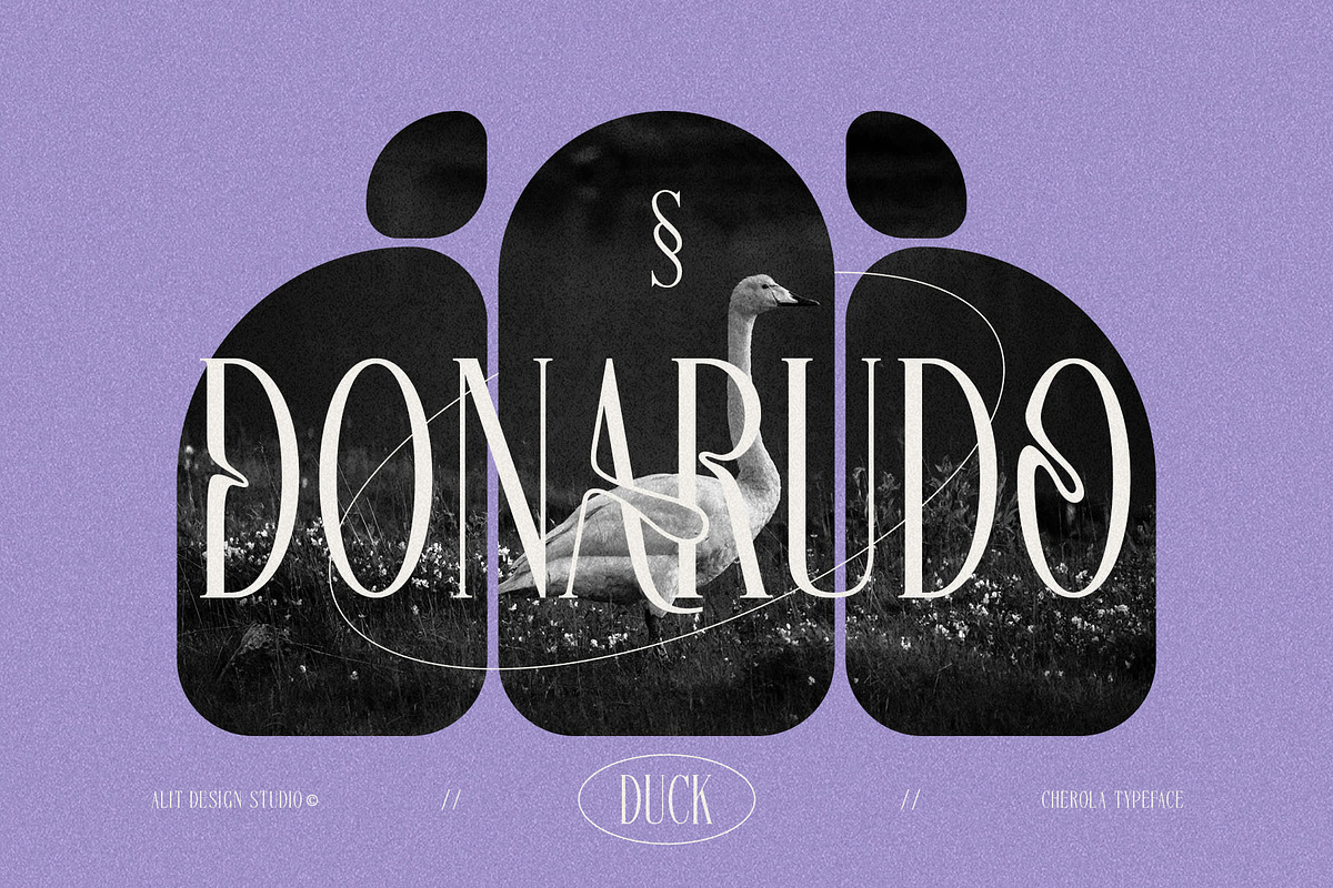 Cherola Typeface, a Serif Font by alit design (Photo 11 of 15)