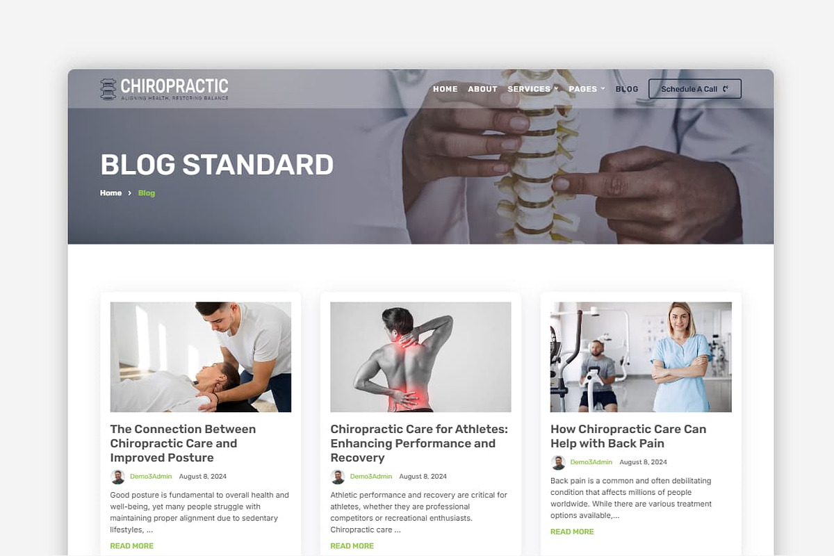 Chiropractic WordPress Theme, a WordPress Template by Your Theme Shop (Photo 4 of 9)
