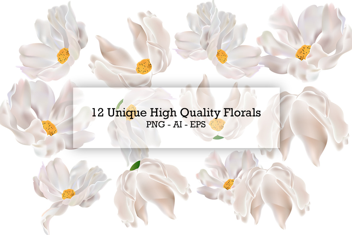Handmade Magnolia Patterns, a Pattern Graphic by Design Unique (Photo 5 of 11)