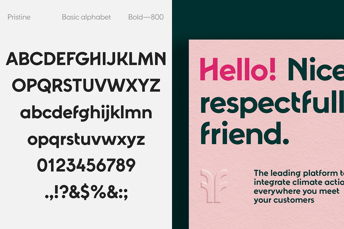 Pristine - Elegant Sans Serif, a Sans Serif Font by Concepta Digital (Photo 13 of 16)
