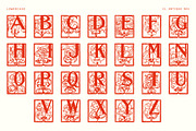 Victorian Ornamental Drop Cap Font, a Symbol Font by Century Library (Thumbnail 4 of 5)