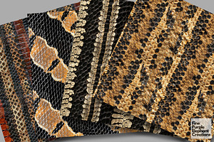 Snake Skin Scales Texture Reptile