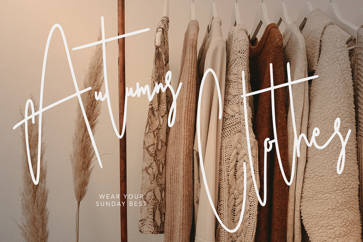 Ameriondela Luxury Classy Font, a Script Font by Maulana Creative (Photo 8 of 11)