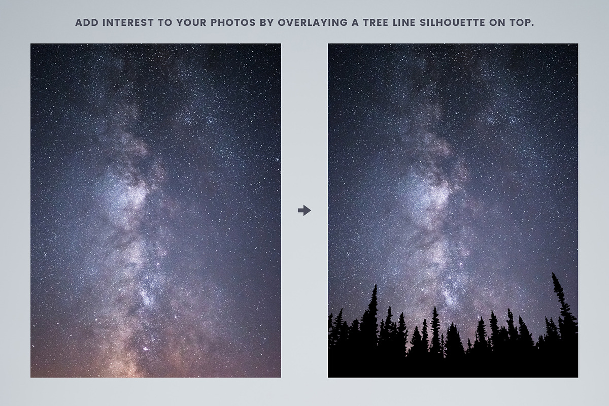Vector Tree Line Silhouettes, an Object Graphic by Build Interactive (Photo 4 of 5)