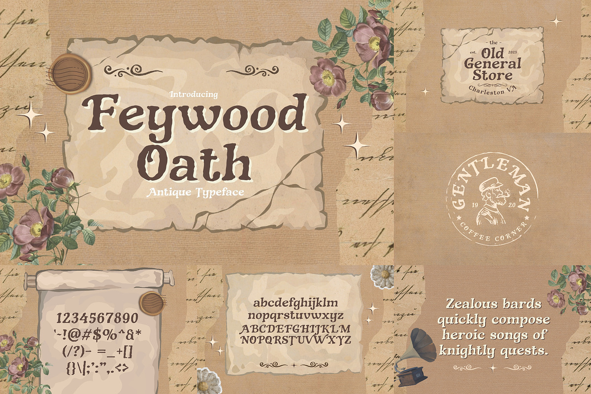 Pirate Font Bundle - 100 Fonts!, a Serif Font by HipFonts (Photo 13 of 18)