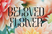 MOLIKA | Display Serif Typeface, a Serif Font by ToniStudio (Thumbnail 7 of 12)