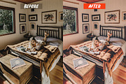 Mobile Lightroom Presets, an Action Add-On by Lavinsky Art Store (Thumbnail 5 of 13)