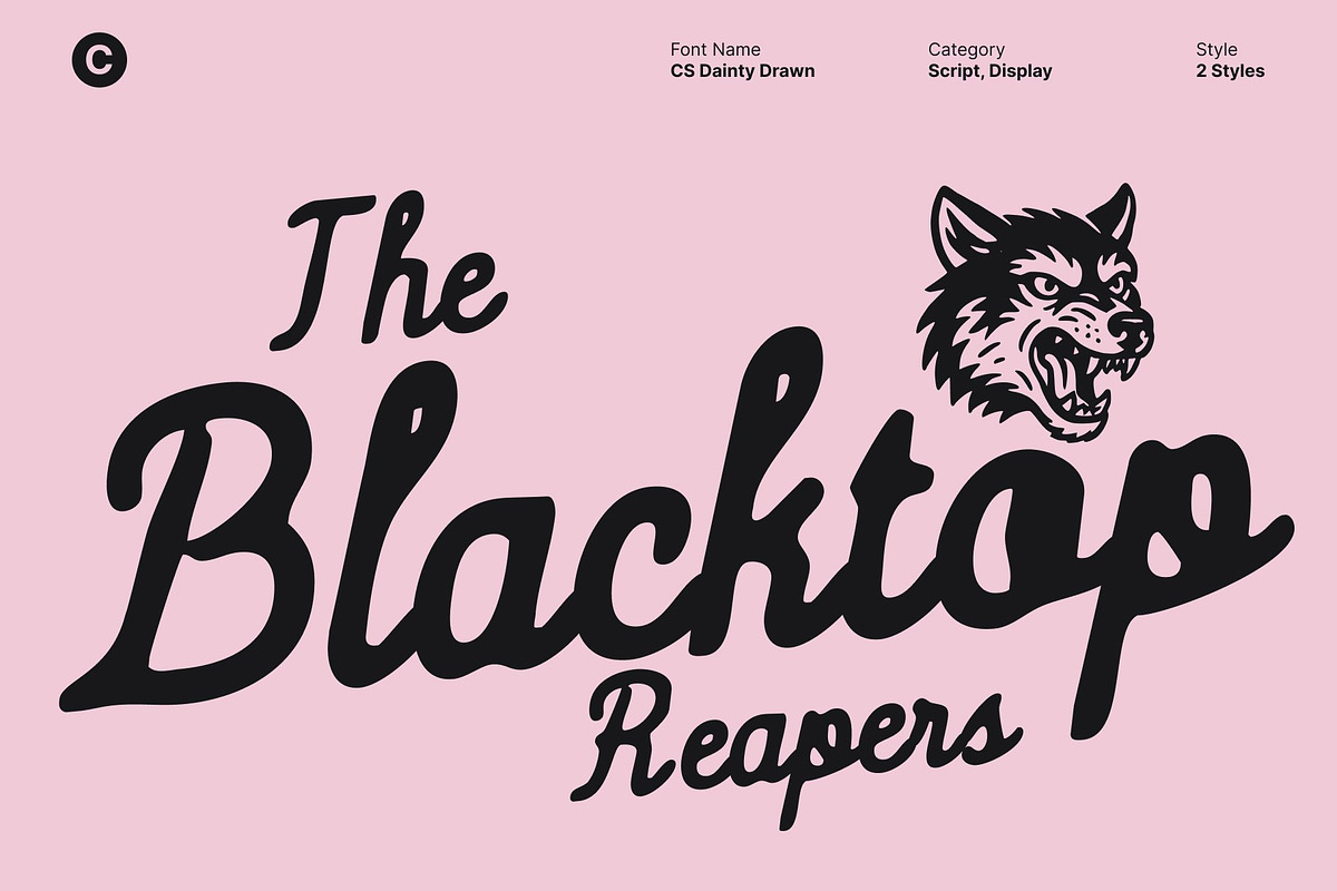 CS Dainty Drawn, a Script Font by Craft Supply Co. (Photo 3 of 8)