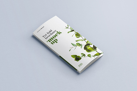 Trifold Brochure Mockup, an Advertising Mockup by Xtrahive